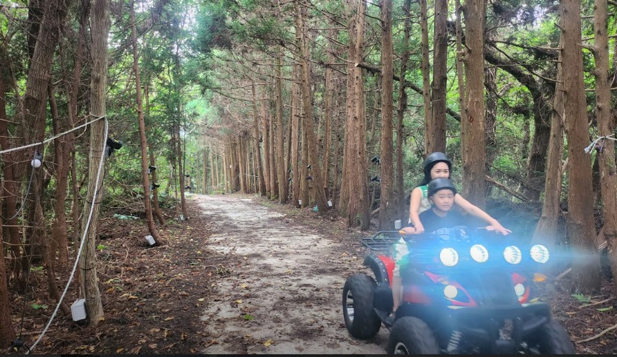 숲속바이크 - 성인4인 기준 무료 입장권 (소아포함으로 변경 가능)