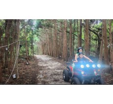 숲속바이크 - 성인4인 기준 무료 입장권 (소아포함으로 변경 가능)