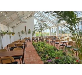 (블로그,클립,릴스 자유선택) 카페봉글락 - 아메리카노 무료