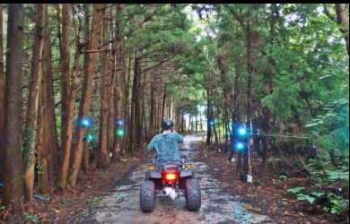 숲속바이크 - 성인4인 기준 무료 입장권 (소아포함으로 변경 가능)