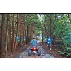 숲속바이크 - 성인4인 기준 무료 입장권 (소아포함으로 변경 가능)