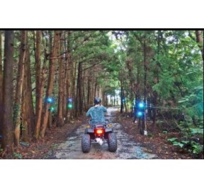 숲속바이크 - 성인4인 기준 무료 입장권 (소아포함으로 변경 가능)