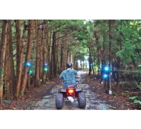 숲속바이크 - 성인4인 기준 무료 입장권 (소아포함으로 변경 가능)