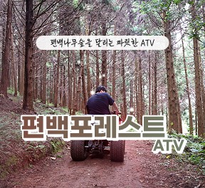 편백포레스트(릴스,클립,블로그)   -   먹이주기 체험,  atv 기본코스  4인 무료입장권 (소아포함으로 변경가능)
