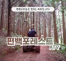 [클립/릴스 中 택1]편백포레스트(릴스,클립,블로그)   -   먹이주기 체험,  atv 기본코스  4인 무료입장권 (소아포함으로 변경가능)