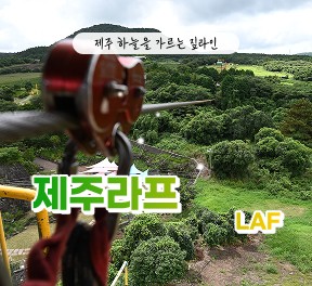 제주라프 - 짚라인+족욕 4인  무료입장권 (소아포함으로 변경가능)