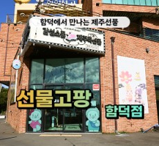 [클립/릴스 中 택1]선물고팡 함덕점