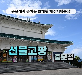 [방문] 선물고팡 중문점 릴스, 클립 체험단 모집
