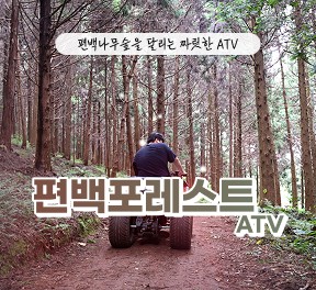 [클립/릴스 中 택1]편백포레스트