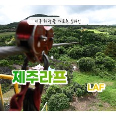 [클립/릴스 中 택1]제주라프