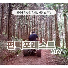 [클립/릴스 中 택1]편백포레스트(릴스,클립,블로그)   -   먹이주기 체험,  atv 기본코스  4인 무료입장권 (소아포함으로 변경가능)