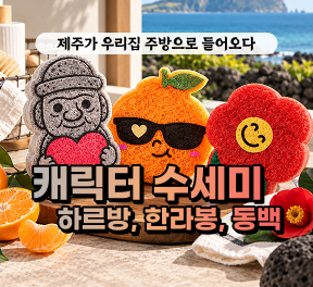 [블로그/클립/릴스 中 택1]선물고팡 캐릭터수세미 배송체험단